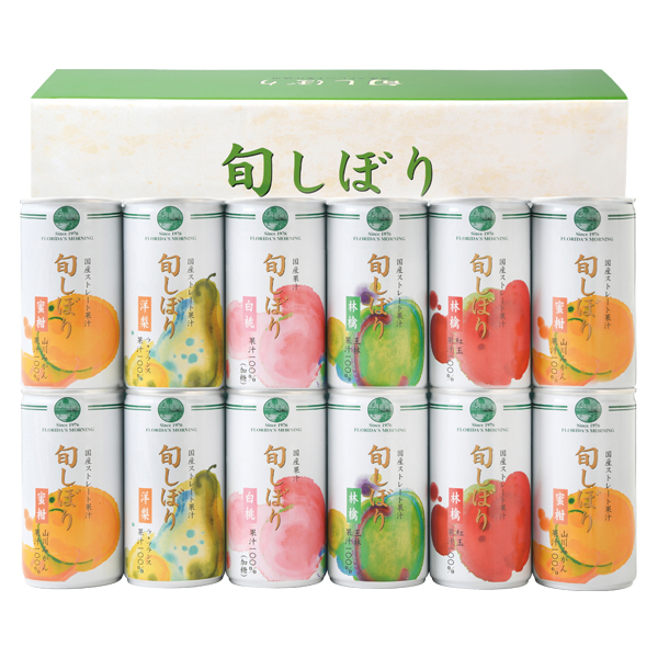 t_X[jO {ڂEYXg[gʏ`100 (SHN30V)